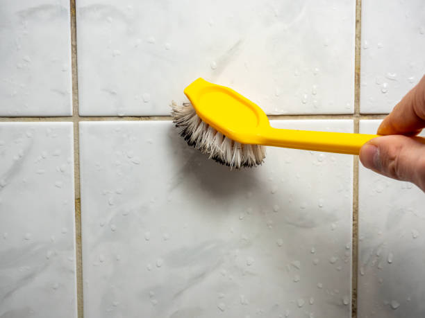 Best Mold Damage Repair  in Hodgkins, IL